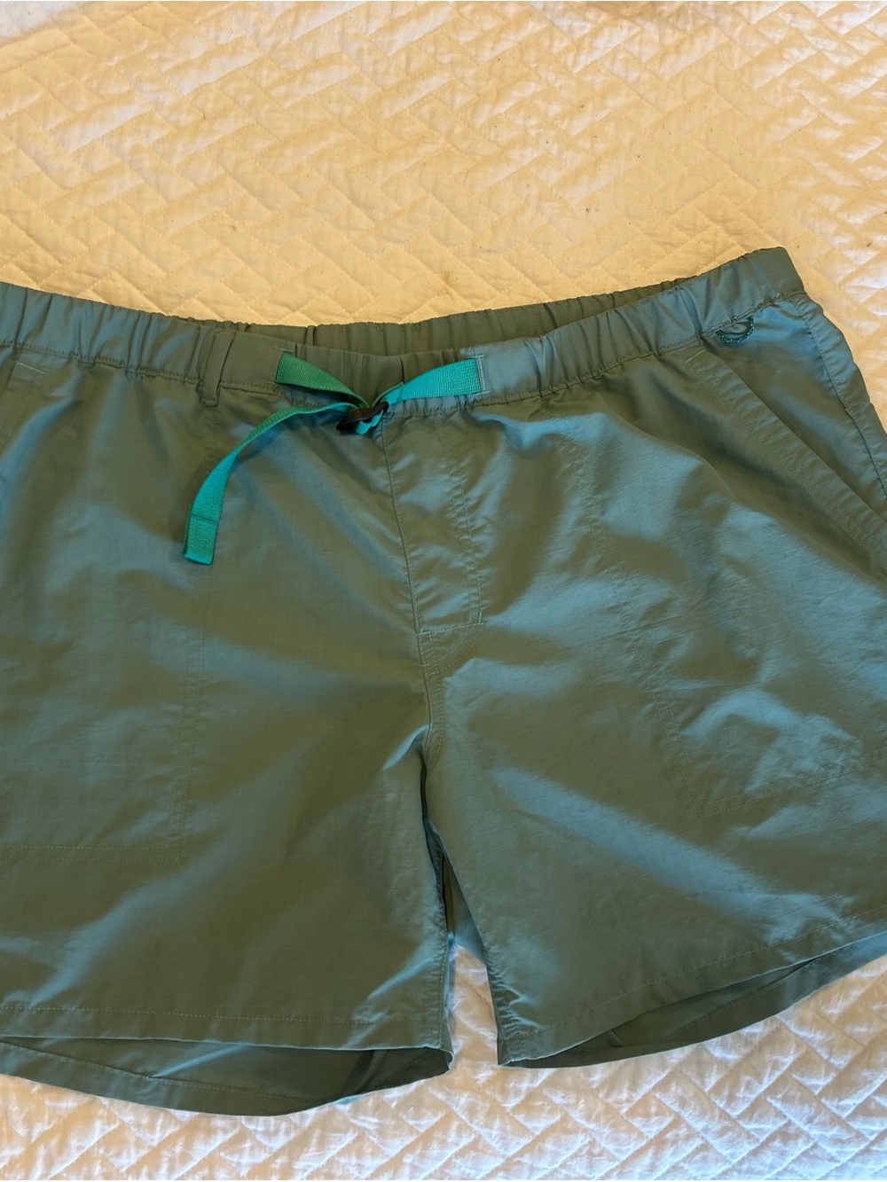 REI Teal-Green Men's Shorts